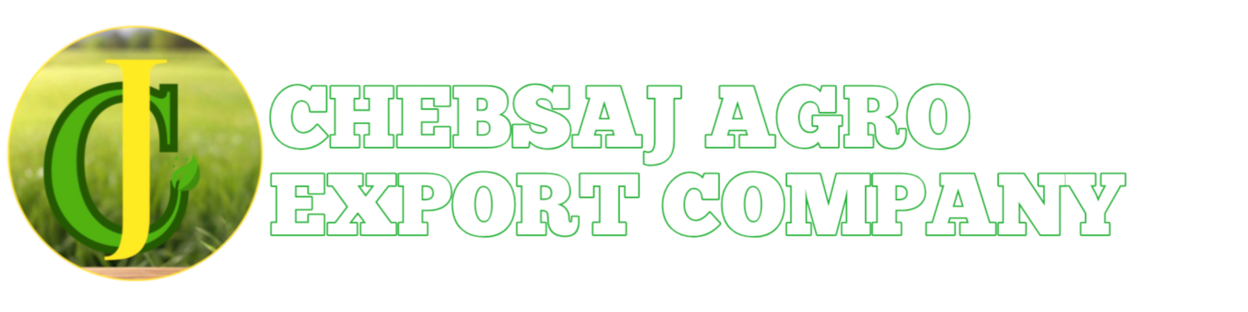 CHEBSAJ%20EXPORT%20COMPANY