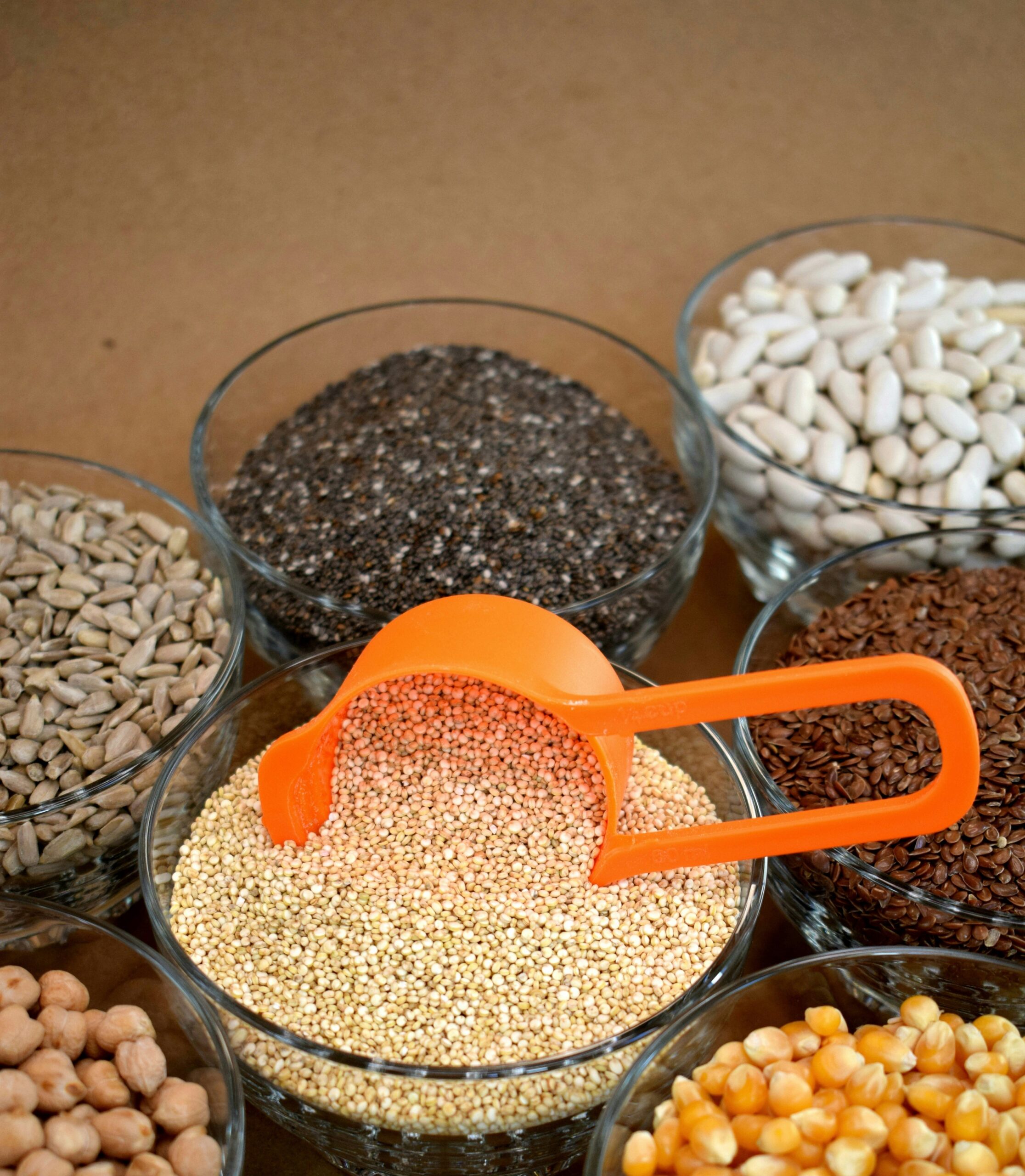 CHEBSAJ%20EXPORT%20COMPANY